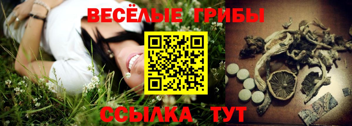 Волжский  даркнет сайт  Вход с VPN  Псилоцибиновые грибы мицелий 