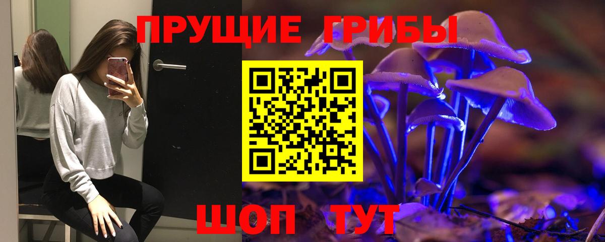 Псилоцибиновые грибы мицелий Волжский